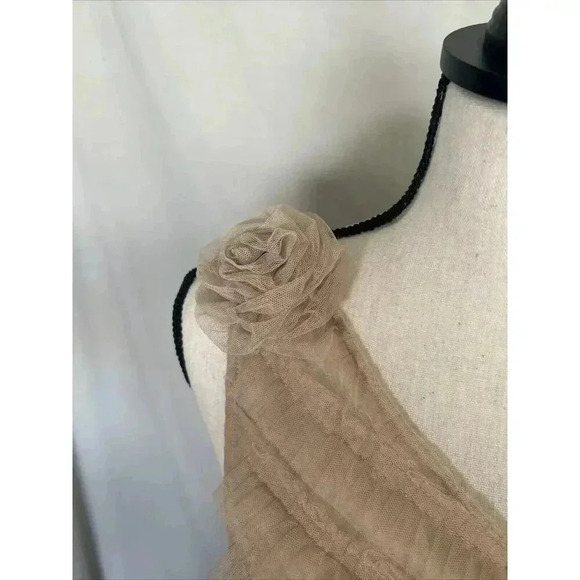 NWT Kimchi Blue Urban Outfitters Rita Ruffle Rose Dress Sheer Beige Tule Size M - Picture 10 of 16